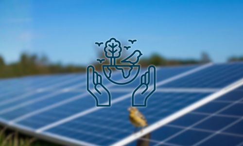 Feldlerche in PV-Park - KI generiert