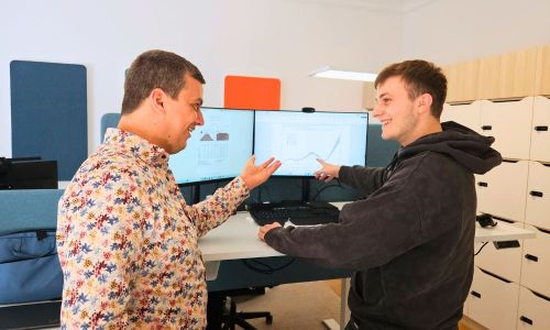 Wie sich die negativen Strompreise auf Erlöse verschiedener Photovoltaik-Anlagenkonfigurationen auswirken