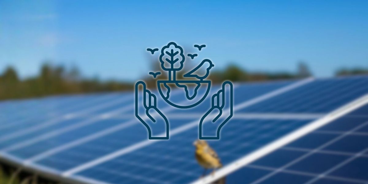 Feldlerche und PV-Park - KI generiert